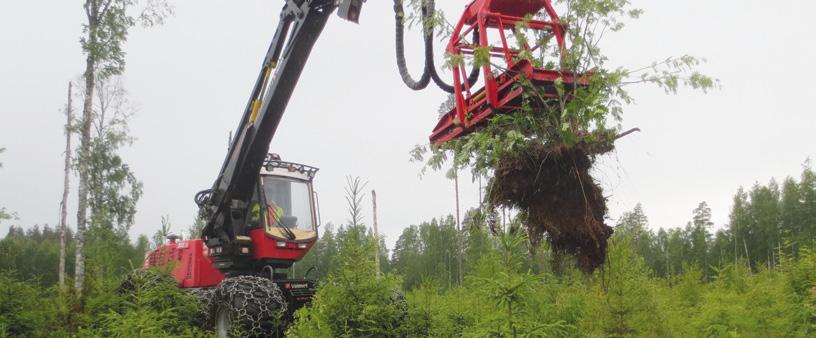 Lehtipuut pudotetaan laitteesta siten, etteivät ne paina kasvatettavia taimia eivätkä haittaa muiden poistettavien taimien kitkentää.