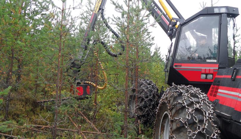 3 TAIMIKONHOITO KONEELLISEN METSÄNHOIDON LAITEKEHITTÄJÄN JA -VALMISTAJAN NÄKÖKULMA: JUSSI AIKALA, RISUTEC OY Jussi Aikala (Risutec Oy) on kehittänyt koneellisen metsänhoidon laiteratkaisuja sekä