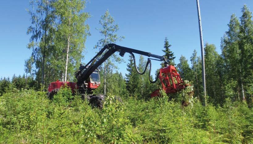 5 YMPÄRISTÖN- HOITO Metsänuudistamistöissä ja taimikonhoidossa kuten muussakin metsienkäsittelyssä on turvattava metsäluonnon monimuotoisuus sekä otettava huomioon vesiensuojelu sekä muu