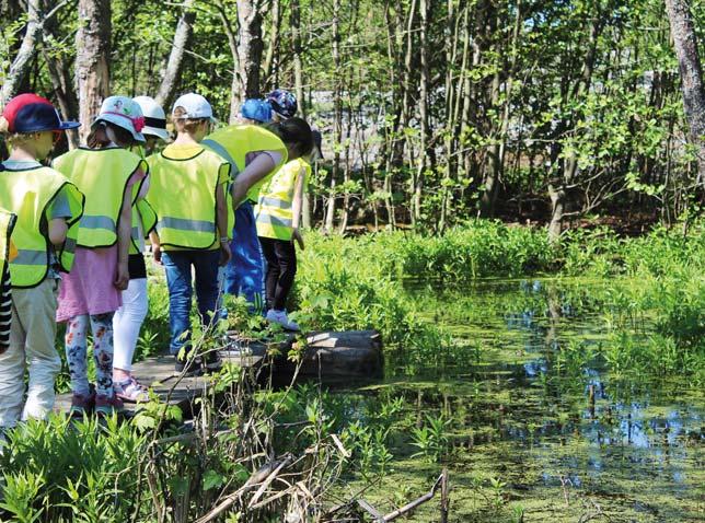 Purokurssi ke 4.10.2017 klo 12 16 Huom! Paikka: Longinoja, Malmi Kohderyhmä: ala- ja yläkoulujen opettajat Kaupunkipurot ovat loistavia oppimisympäristöjä.