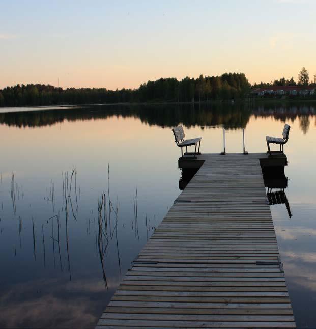 Suomalainen sauna suomalaisesta puusta Valmistamme saunan lauteita ja kaiteita toiveiden mukaan, mittatilaustyönä.