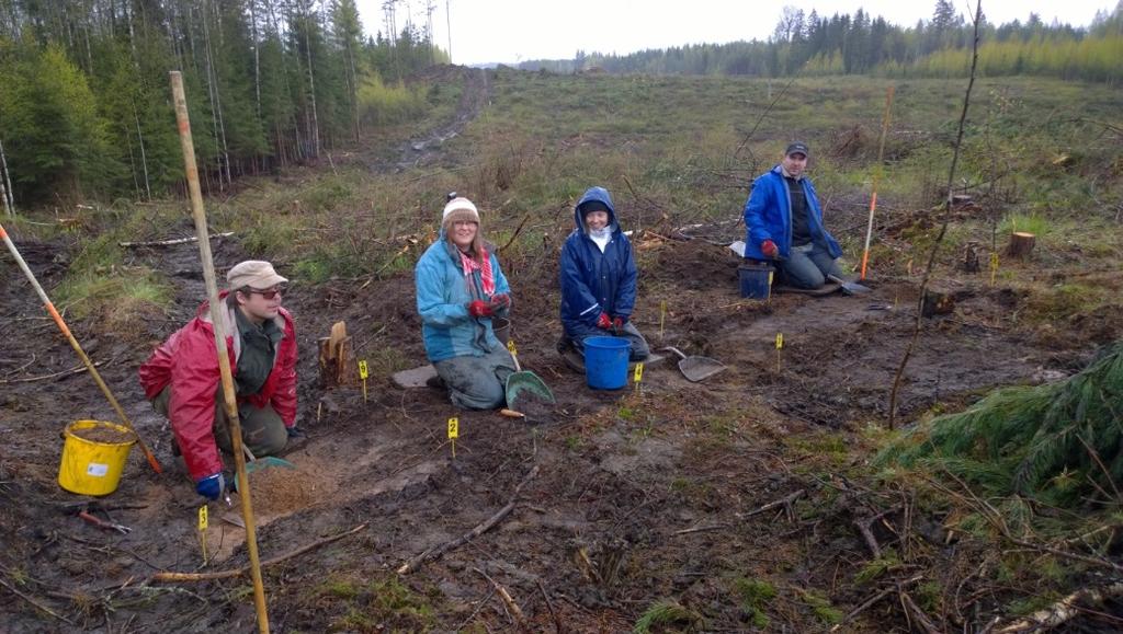 AKDG 4531:26. Kaivausalueen 2 kerrosta 1 kaivetaan, itään. Vasemmalta Jouni Väänänen, Saara Tuovinen, Laura Ohenoja ja Pauli Haapakangas. Kuvaaja: P.