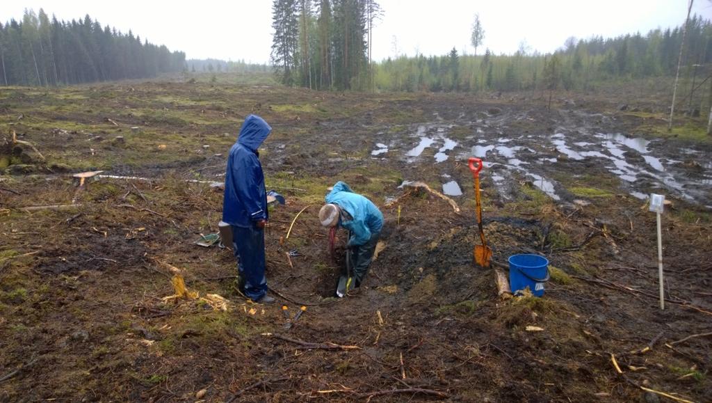 AKDG 4531:50. Laura Ohenoja ja Saara Tuovinen tutkivat hiilimiilua, länteen. Kuvaaja: P. Pesonen. 4. Kaivaushavainnot 4.