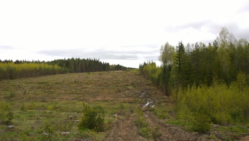 2. Tutkimushistoria ja topografia Kasettelevakangas 2 asuinpaikka löytyi vasta huhtikuun lopussa 2015 läheisen Lakiasuon korsu 67:n dokumentoinnin yhteydessä (mj. rek. nro 1000017183, ks. johdanto).
