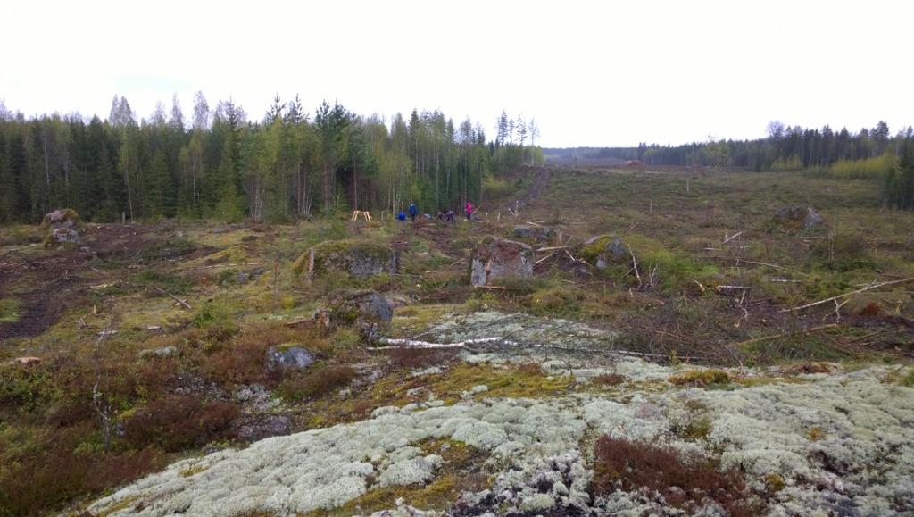 AKDG 4531:2. Yleiskuva asuinpaikalle mäen päältä, itään. Kuvaaja: P. Pesonen.