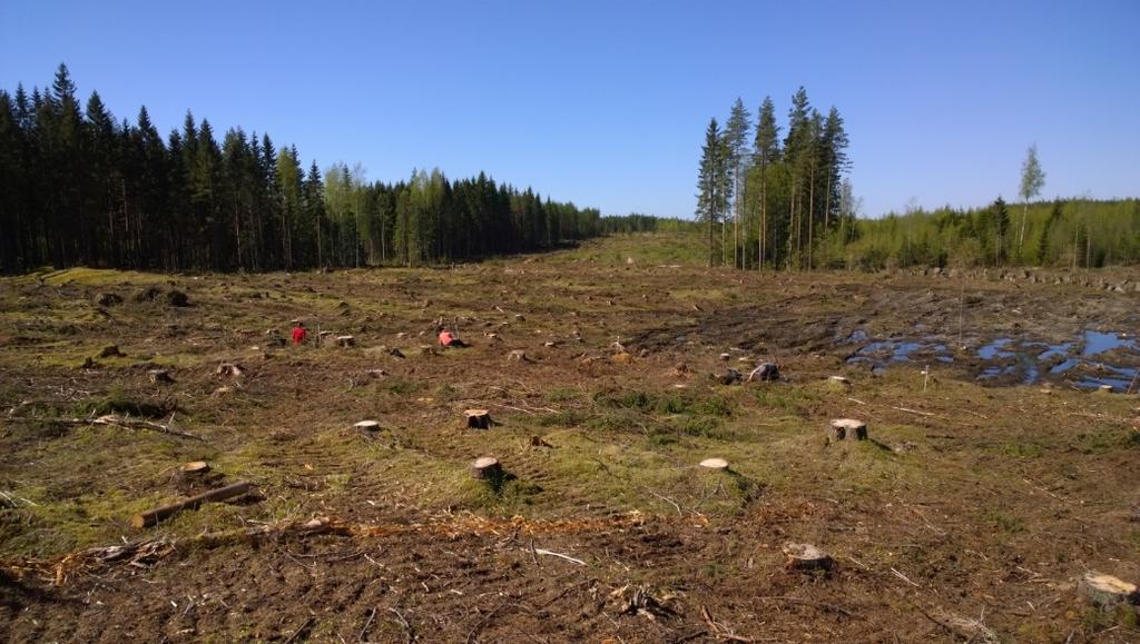 Kaivausalueesta 1 noin 10-15 metriä länteen on kaksi kuopannetta, todennäköisesti hiilimiiluja 29 m mpy korkeustasolla. Miilut ovat halkaisijaltaan n. 2,5 metriä.