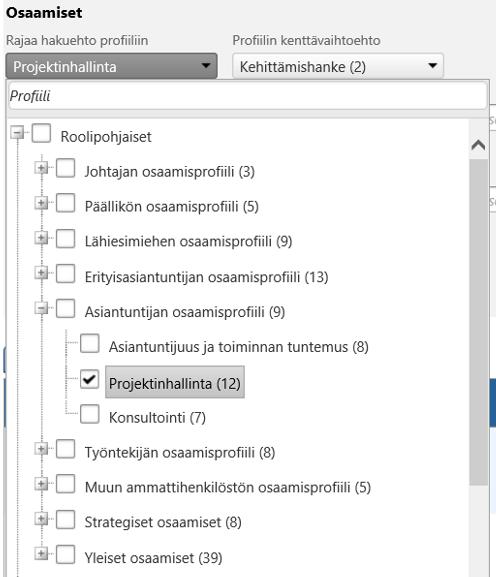 Projektinhallinta ja