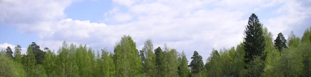 Kuva 5. Ylijäämämaan läjitysalue (kuvattuna länsi-luoteesta); maa-ainekset ja kivet/louhe lajiteltu omiin aumoihinsa 3.
