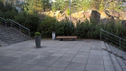 korkeahkoja vuorimäntyjä. Vuorimännyt rajaavat ja ittävät hyvin luonnontilaista kallioaluetta.