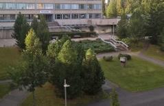 Luonnontilainen "ryteikkö" ei vi muuten niin rakennettuun alueeseen. Puut tulisi kaataa ja suunnitella rinteen istutusalue uusiksi. (kuva 17.