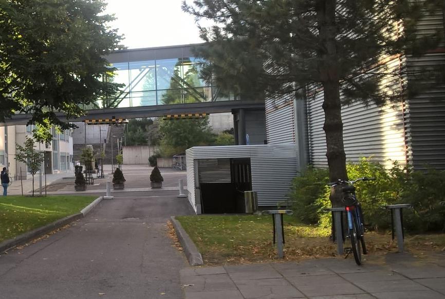 Siberiansembra on komea ja hyvin leveäkasvuinen puu, joka vaatii ympärilleen 4-6 metriä tilaa kasvaakseen hyvin.