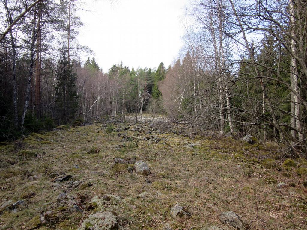 inventointi Jaana Itäpalo 30.6.