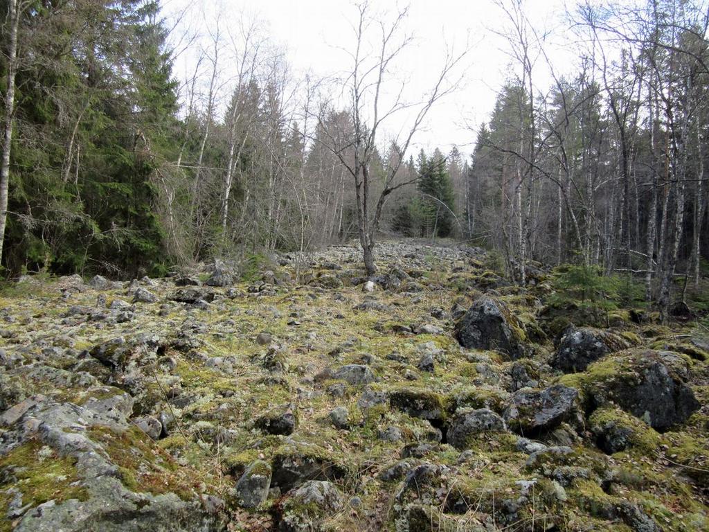 12 Kohteen rajaus
