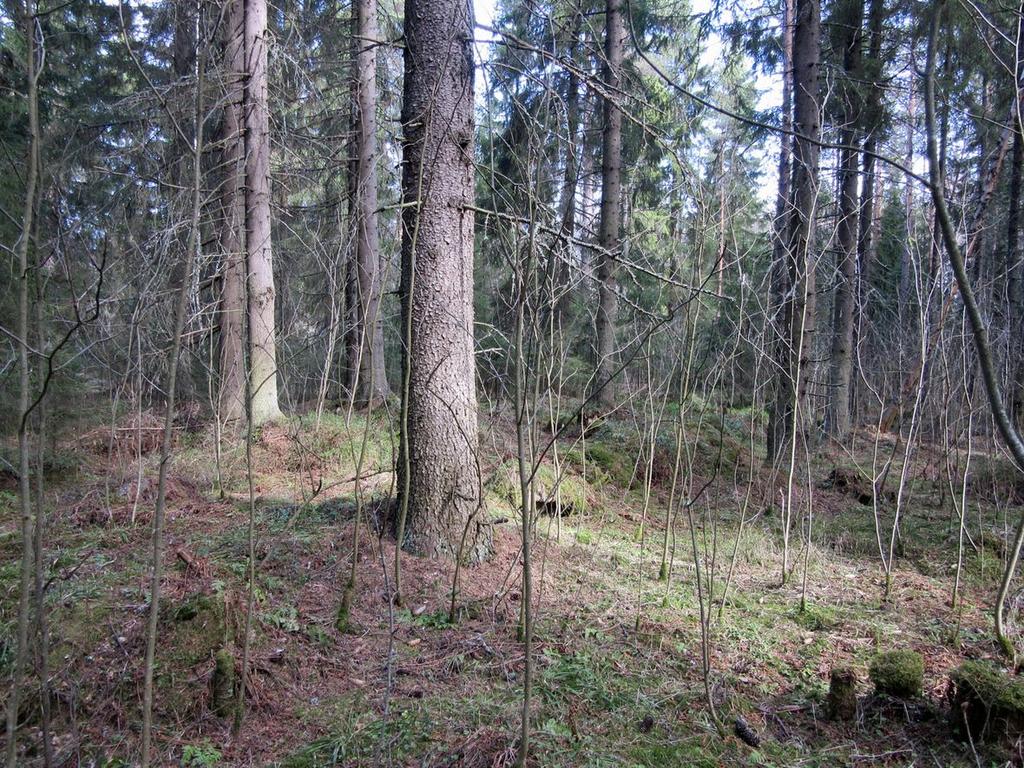 15 Tryckareträsk 2.