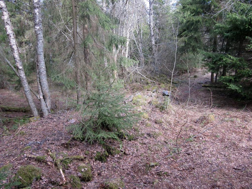 17 Tryckareträsk 3.