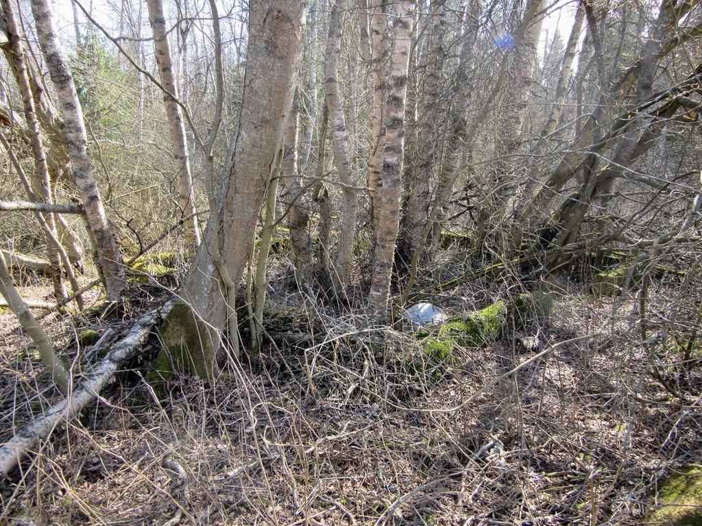 21 2015: Noin 6 x 4 m kokoinen rakennuksen betonikehikko.