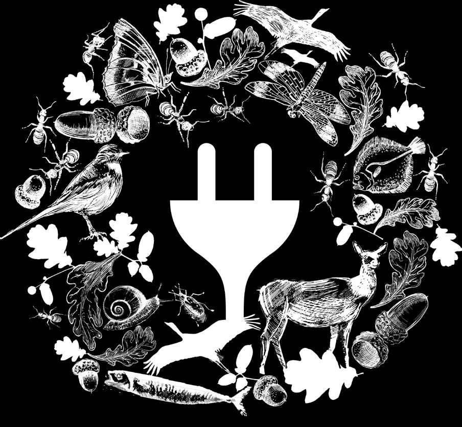 Sähköntuotanto vaikuttaa esimerkiksi vaelluskalakantoihin ja metsiemme monimuotoisuuteen. Bioenergian ja vesivoiman kohdalla myös ilmastovaikutukset voivat olla merkittäviä.