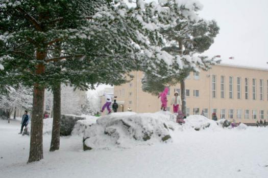 lun kalliopaljastuma on ollut Näsinkallion ja Näsilinnankadun Junuvuoren ohella aikoinaan merkittävä maamerkki peltoaukeiden laidalla. Suunnittelualue lähiympäristöineen on voimakkaasti rakennettua.