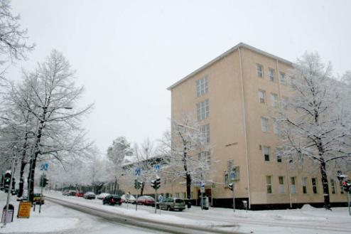 Amurin koulun piha-alueen kalliopaljastuma ja männikköä. Koulun tonttia reunustavat pohjois-, länsi- ja etelälaidalla puut. 3.1.