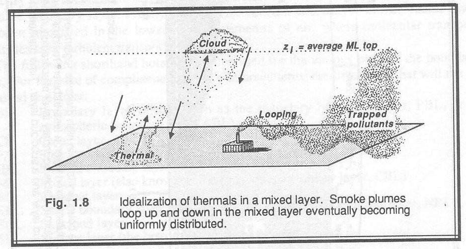 Pilven huipun säteilyjäähtyminen, top-down-konvektio pyrkii ylläpitämään