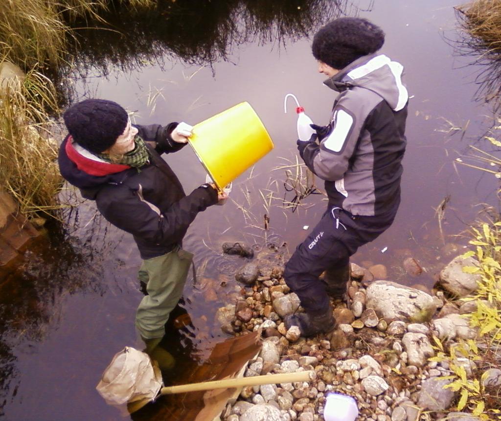 Tarmo Tossavainen C Kalliojärven vesistöalueen järvialtaiden vedenlaatu ja fosforikuormitus vuonna 2010 sekä