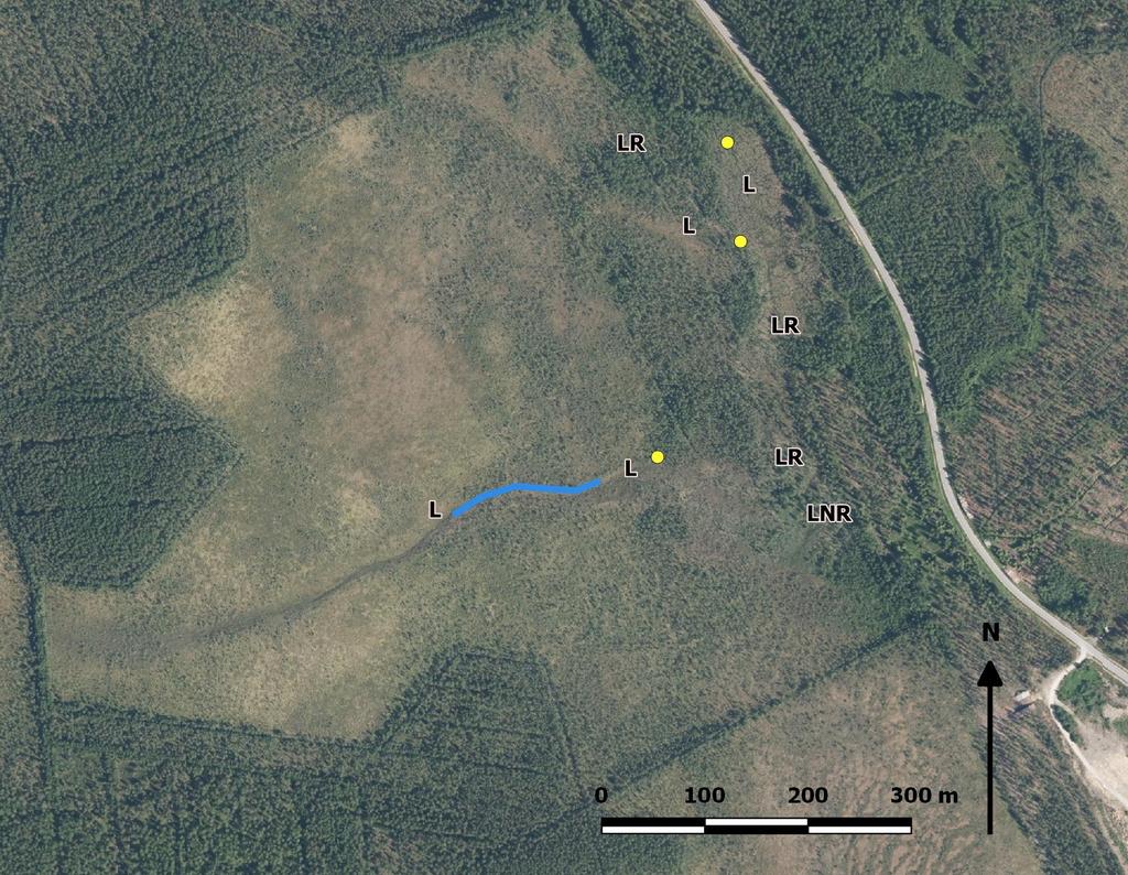 7 Kuva 5. Vuoden 2012 mukaiset kämmeköiden sijainnit (keltainen piste), uoma (sininen viiva) ja lettoluontotyypit (L = letto, LR = lettoräme, LNR = lettonevaräme). 3.