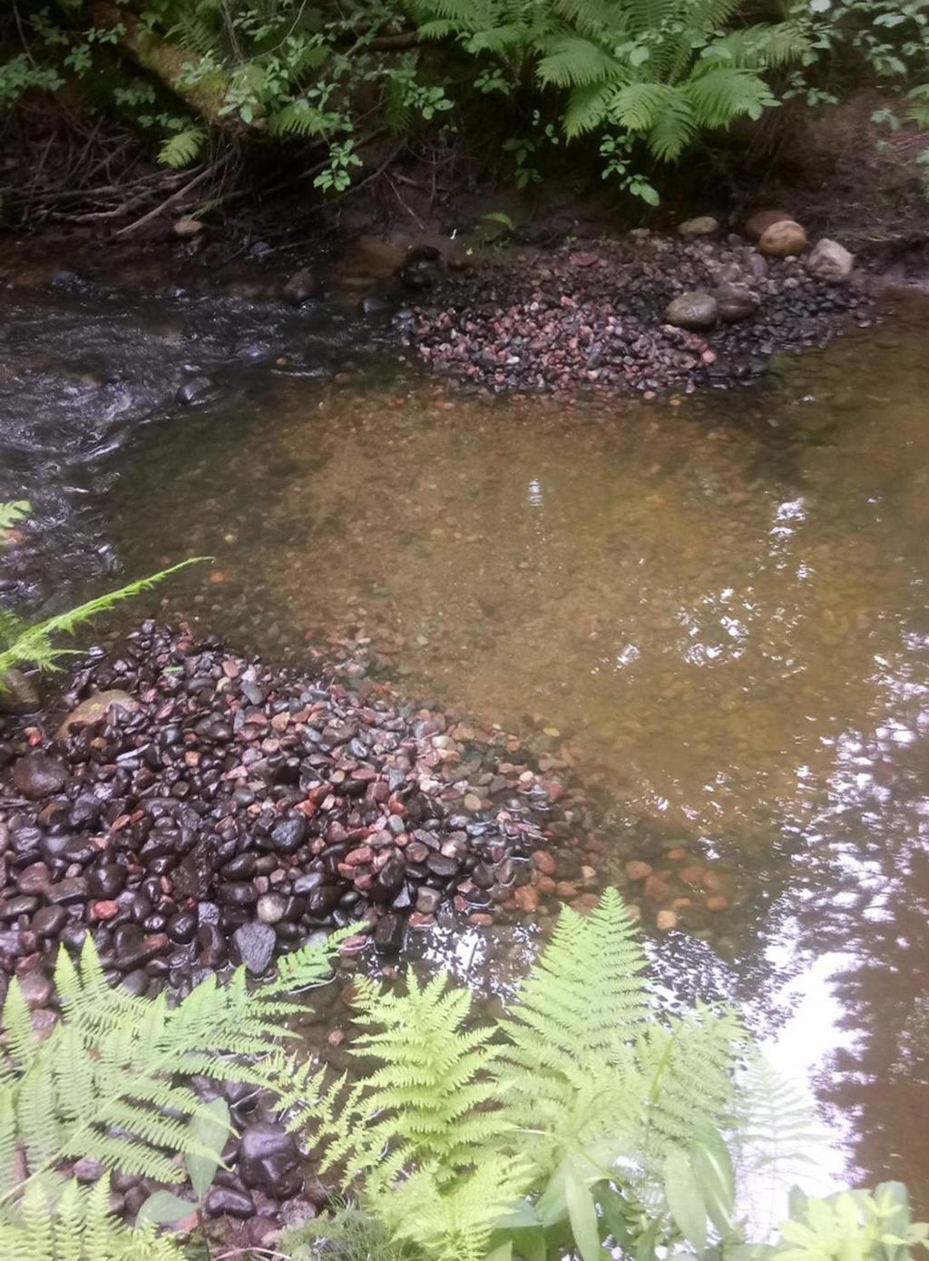 Sorat on siirretty takaisin keskelle ja lisätty