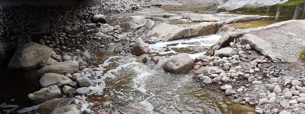 Kuva 17 Käsin kynnystetty pohjapato vähällä vedellä Rekolanoja oli kesän 2017 Vantaan seudun roskaisin puronvarsi varsinkin Korson alueella.