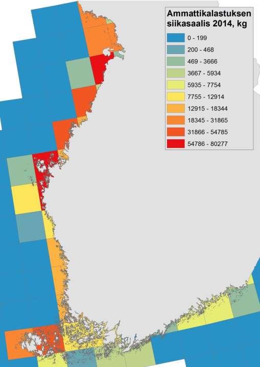 Siikasaaliiden alueellinen jakautuminen - pyyntiruudut Siikasaaliit painottuvat Merenkurkkuun ja Perämerelle Voisiko merikutuisella siialla vahvistaa