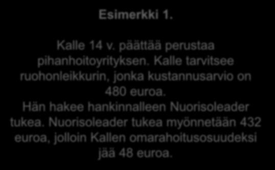 Esimerkkejä rahoitettavista projekteista Tukiprosentti 90 % Tukiprosentti 100 % Esimerkki 1. Kalle 14 v. päättää perustaa pihanhoitoyrityksen.