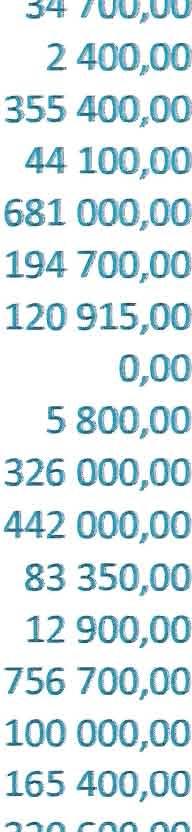 251 M5,OO 131411,00 919 582,00 5 80S 130,0:0 0,00 0,00 8 4.