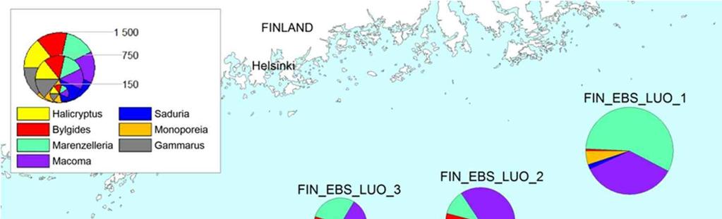 79 W-PE-EIA-PFI-REP-812-FINBESFI-01