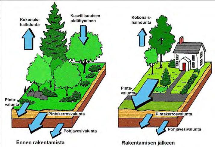 5 Kaupungistumisen seurauksena yleensä pohjavedenkorkeus alenee, jolloin rakennuksiin kohdistuu suurempia kuormituksia. Hulevesillä voi olla vaikutusta myös pintavesien ja pohjaveden laatuun.