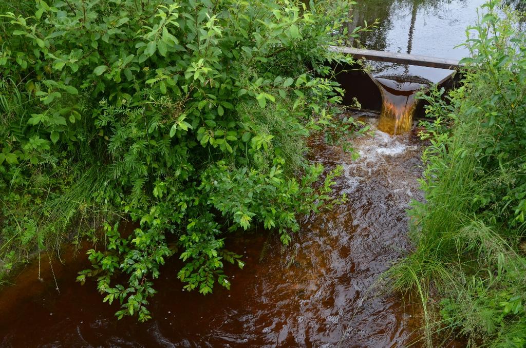 vedestä jatkuvatoimisesti - Paineanturi