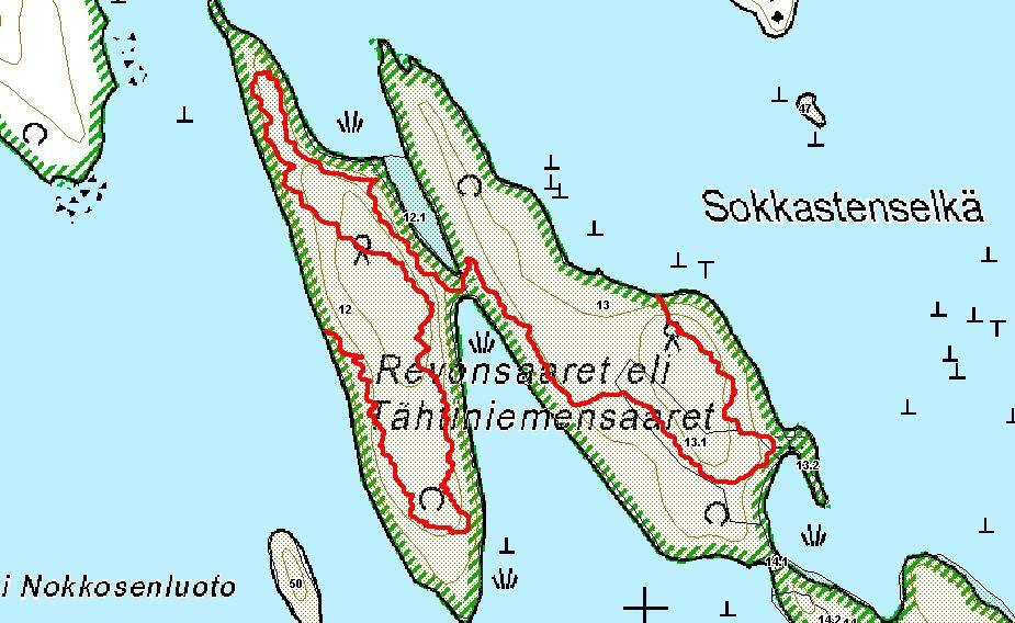 200 m Kuva 21. Kyyvesi, Tähtiniemen saaret, kuljettu reitti punaisella. Arvio kohteen kartoitustehokkuudesta Kartoitetut kuviot ovat inventoitu kohtalaisen hyvin. Lajisto Taulukko 41.