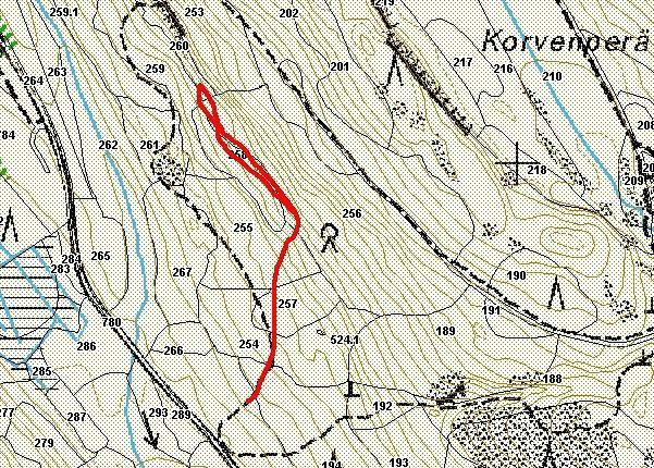 100 m Kuva 36. Koli, Paimenvaara, kuljettu reitti punaisella. Arvio kohteen kartoitustehokkuudesta Kartoitetut kuviot on inventoitu kohtalaisen hyvin.