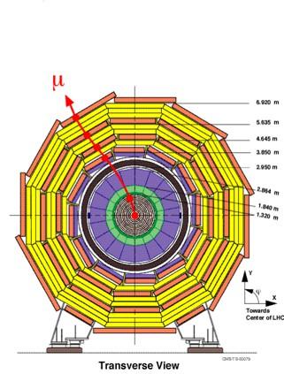 CERN, Building