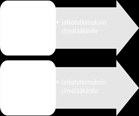 rivin ero. (Hyvärinen & Laitinen 2011, 53, 69.