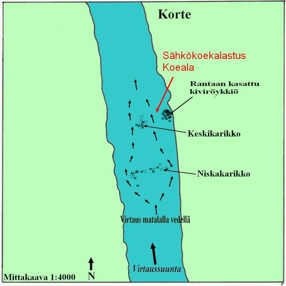 19 3.4 Korte Korte oli koekalastusten ylin paikka, joka sijaitsee noin kaksi kilometriä Pämpinkoskesta ylävirtaan. Kortteen virtapaikan pituus on noin 200 metriä ja leveys 120 metriä.