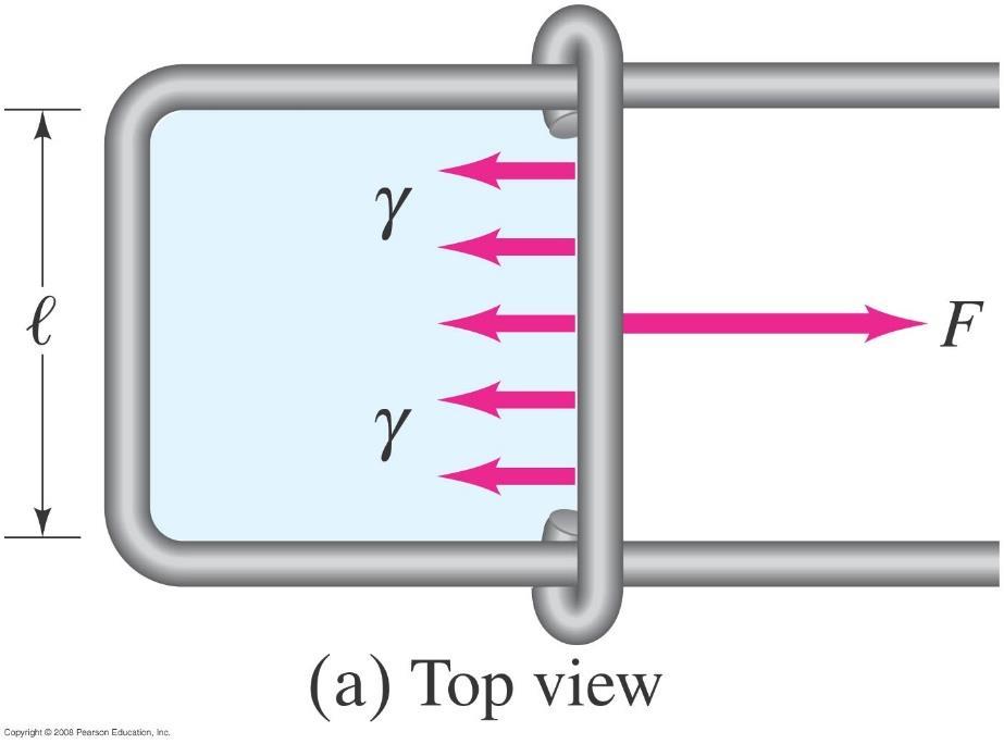Toinen esimerkki: pintajännitys dx Oheisessa koejärjestelyssä kaksi neste-ilma-rajapintaa, josta tekijä 2 yhtälön vasemmalla puolella Yhtä