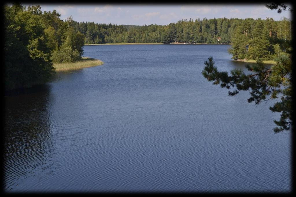 Yhteisenä tavoitteena on rakentaa asiakkaiden tarpeet entistä paremmin huomioiva palvelukokonaisuus.