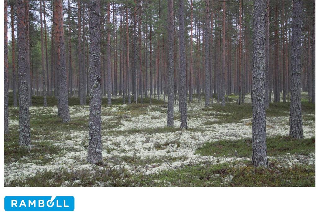 Vastaanottaja Etelä-Pohjanmaan elinkeino-, liikenne- ja ympäristökeskus Asiakirjatyyppi