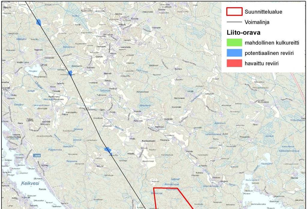 Kuva 10-7. Suunnittelualueen ja voimalinjavaihtoehtojen liito-orava alueet Viitasammakko Viitasammakkoselvityksessä ei havaittu viitasammakoita tai niiden lisääntymisalueita.