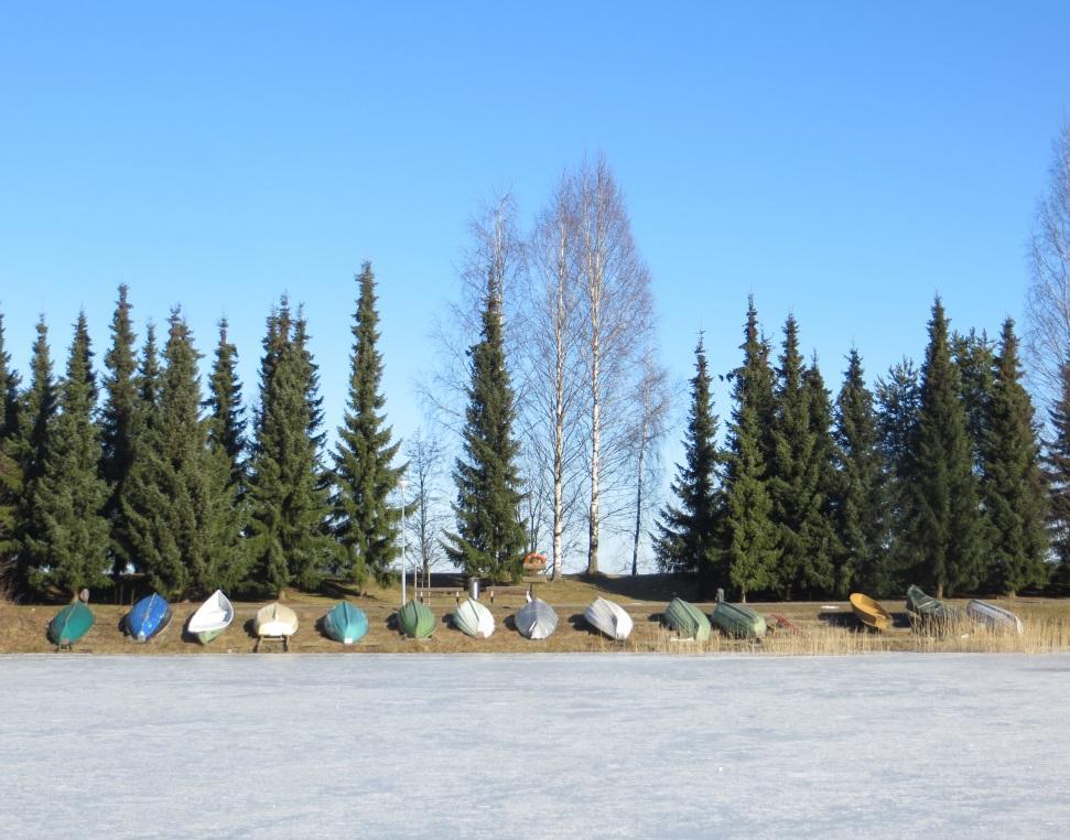 Hoidon jatkuvuuden tiivis määritelmä Tiedonkulkuun liittyvä hoidon jatkuvuus (Informational continuity) Pitkäaikaiseen hoitosuhteeseen ja vuorovaikutukseen liittyvä hoidon jatkuvuus