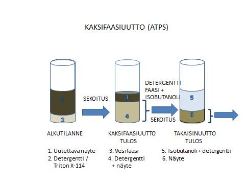 19 Kuva 9. Kaksifaasiuutto Triton X-114 -detergenttiä käyttäen. Kuvassa on esitetty nuolien päällä eri työvaiheet ja numeroilla eri näytekerrokset.