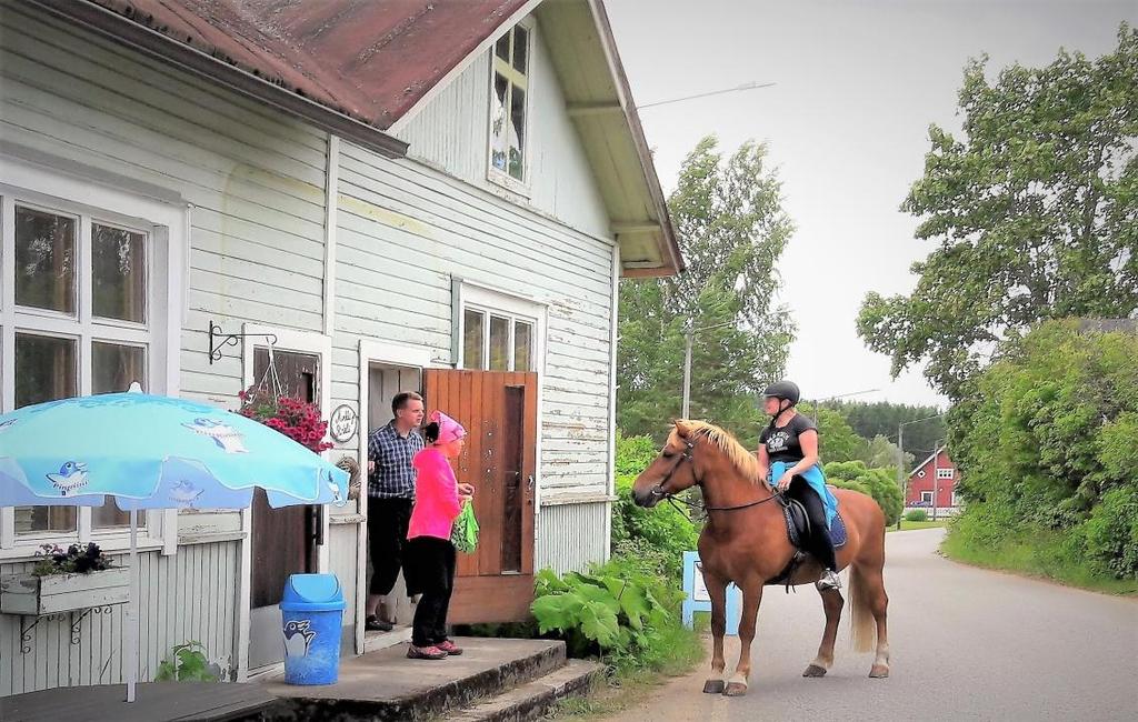 Samalla selvisi, että ratsastaja oli kaunis nuori nainen, Kukka Hyötyläinen, joka kertoi olevansa lomailemassa