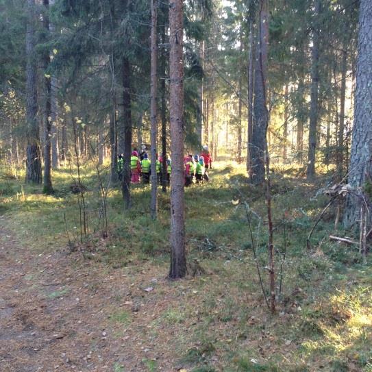 8 Metsä n yksi Tuulenpesälle tärkeä ppimisympäristö, jka mahdllistaa metsämörriretket ja timinnalliset esipetushetket lunnn keskellä.