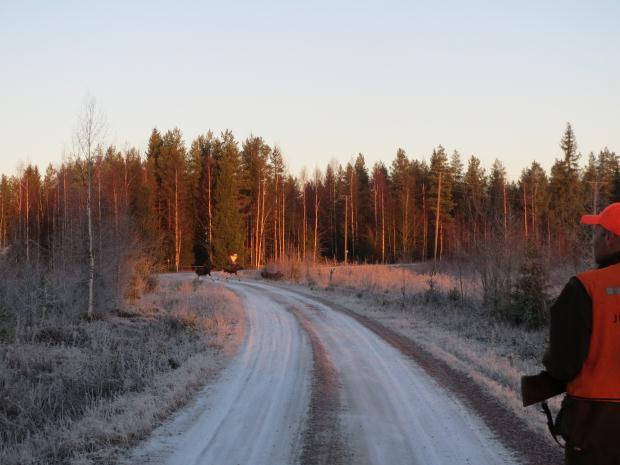 Turvallisuus Tilanteiden yllätyksellisyys on osa jahdin viehätystä, mutta