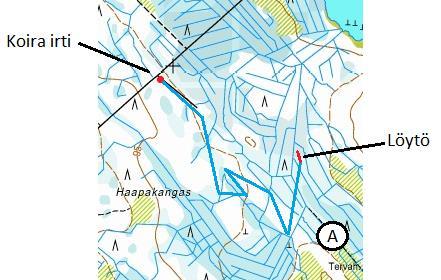 Löytö, esimerkki 1 Koira lasketaan irti klo 8:00 ja paikannin näyttää haukun alkavan klo 8:08, mutta haukku ei kuulu olosuhteista johtuen Ryhmä siirtyy autolla kohtaan A, johon haukku kuuluu klo 8:16