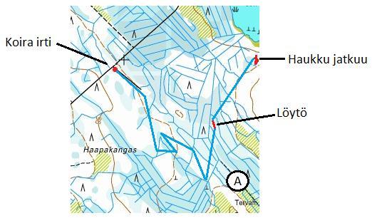 Löytö, esimerkki 2 Koira lasketaan irti klo 8:00 ja paikannin näyttää haukun alkavan klo 8:08, mutta haukku ei kuulu olosuhteista johtuen Löytö katkeaa 2-3 minuutin päästä, siirtyy ja haukku alkaa
